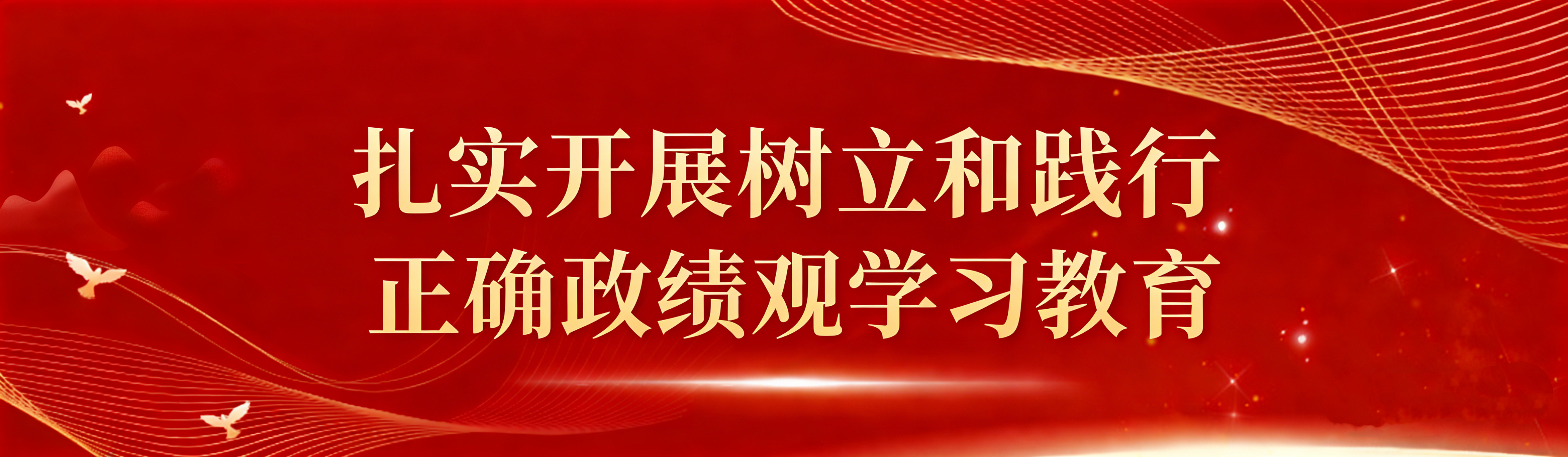 扎实开展树立和践行正确政绩观学习教育